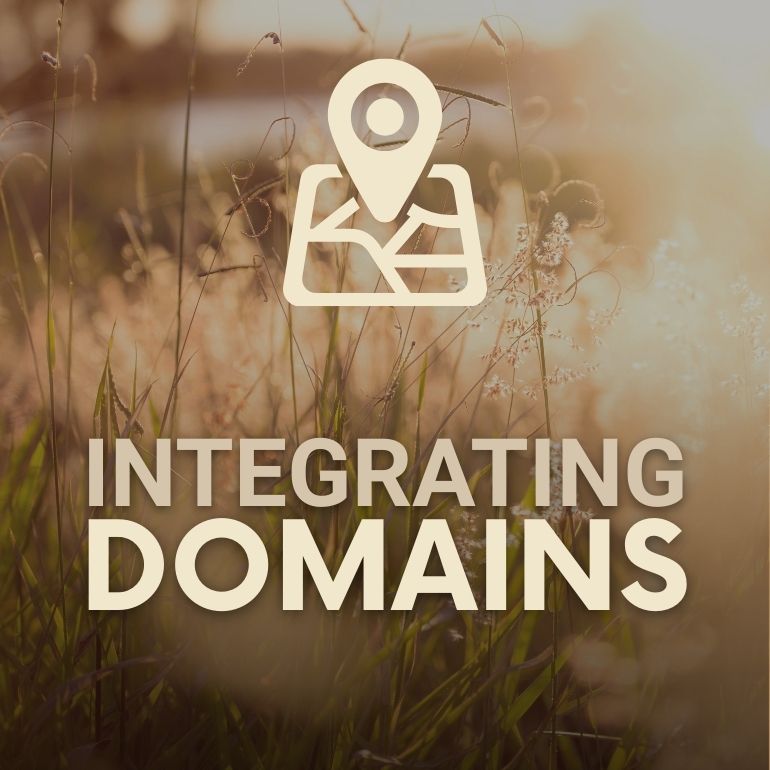 Domain - Integration