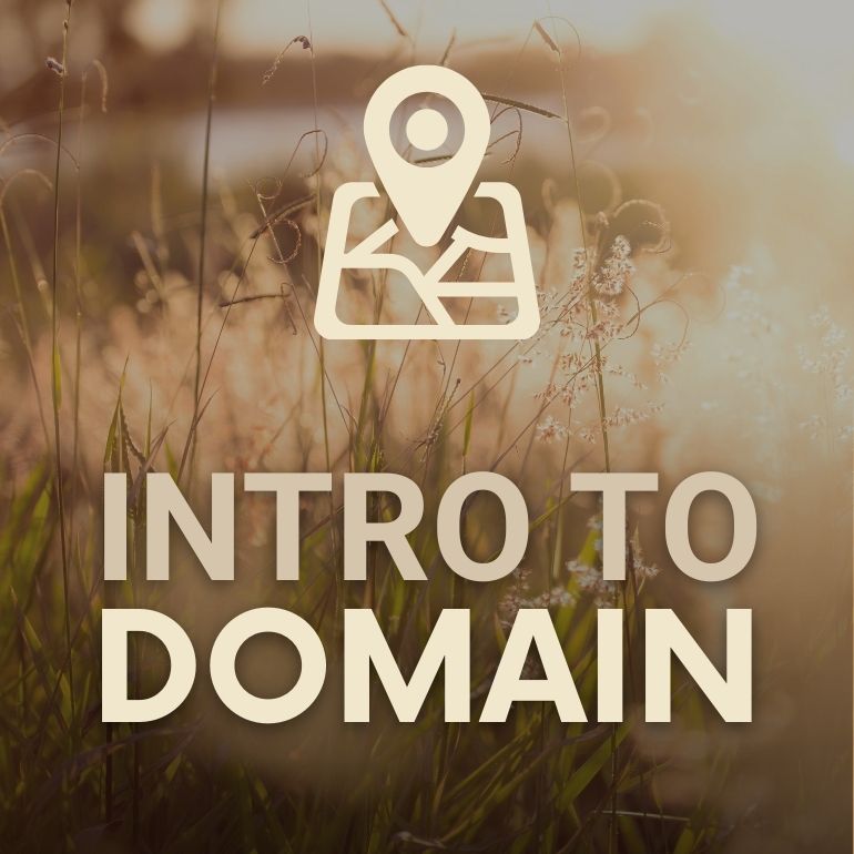 Domain - Intro