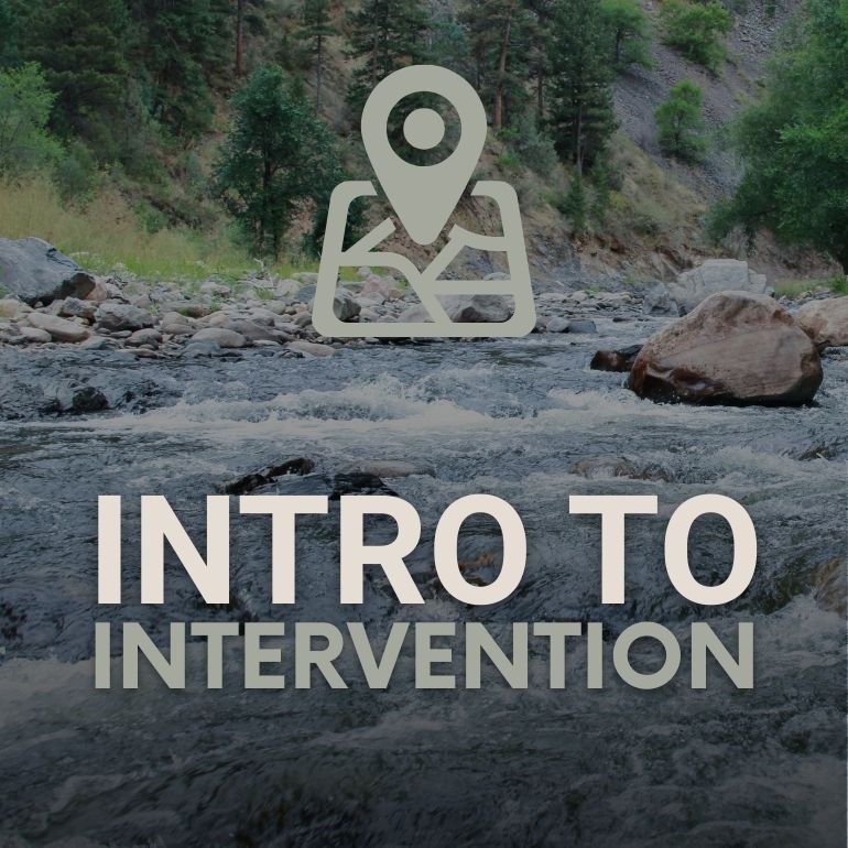 Intervention - Intro