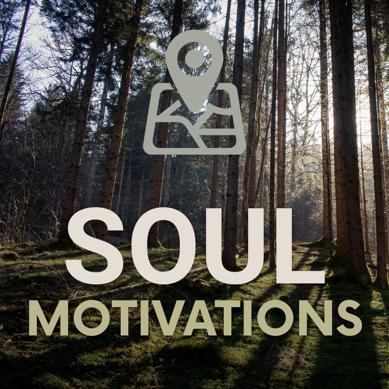Soul Motivations